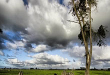 曼城对阵弗鲁米嫩,这场世俱杯决赛会有哪些看点?